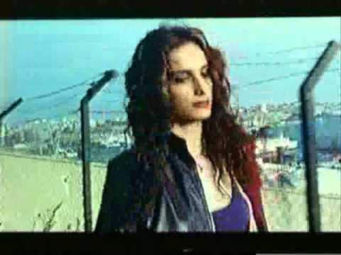 SITTING ON A FENCE CLIP