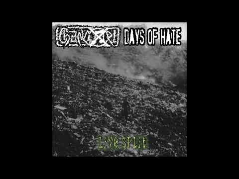 Changoz! / Days  Of Hate - Live Split