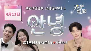 安妞👋韓娛晚報 20260411