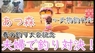 【あつ森】釣り大会/夫婦で釣り対決！【魚釣り】