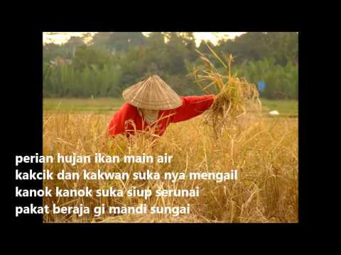 Rohaya - Megetam padi