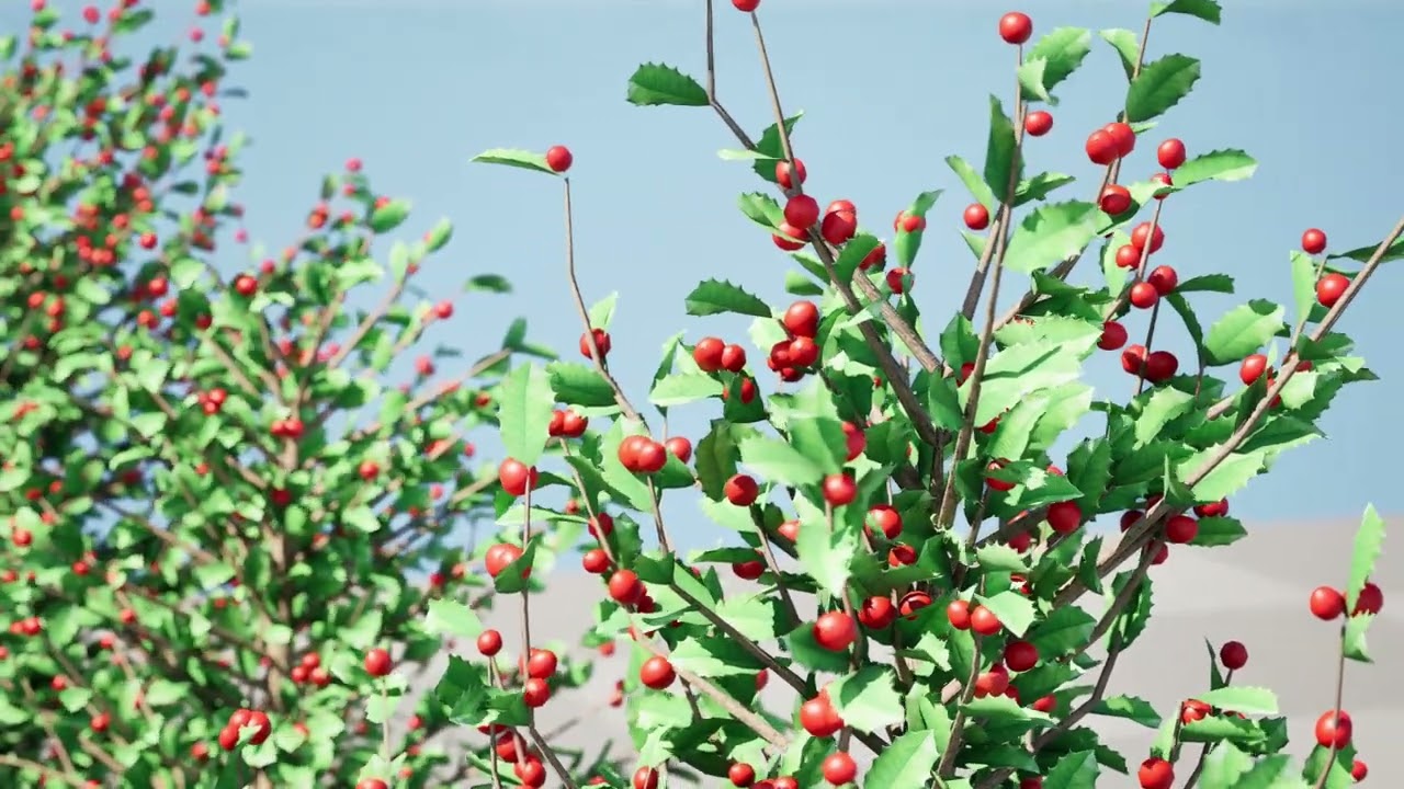 Holly Tree Collection s 3D Model