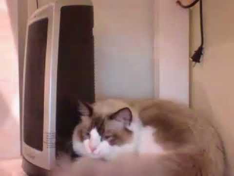 nrec 20180813 230866