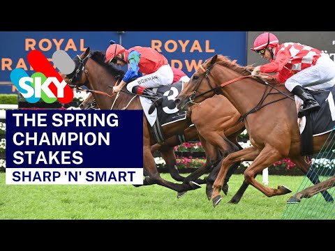 Brilliant Kiwi Sharp N Smart wins the G1 Spring Champion Stakes