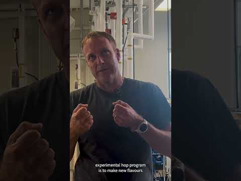 KPU researchers brew with citrus hop