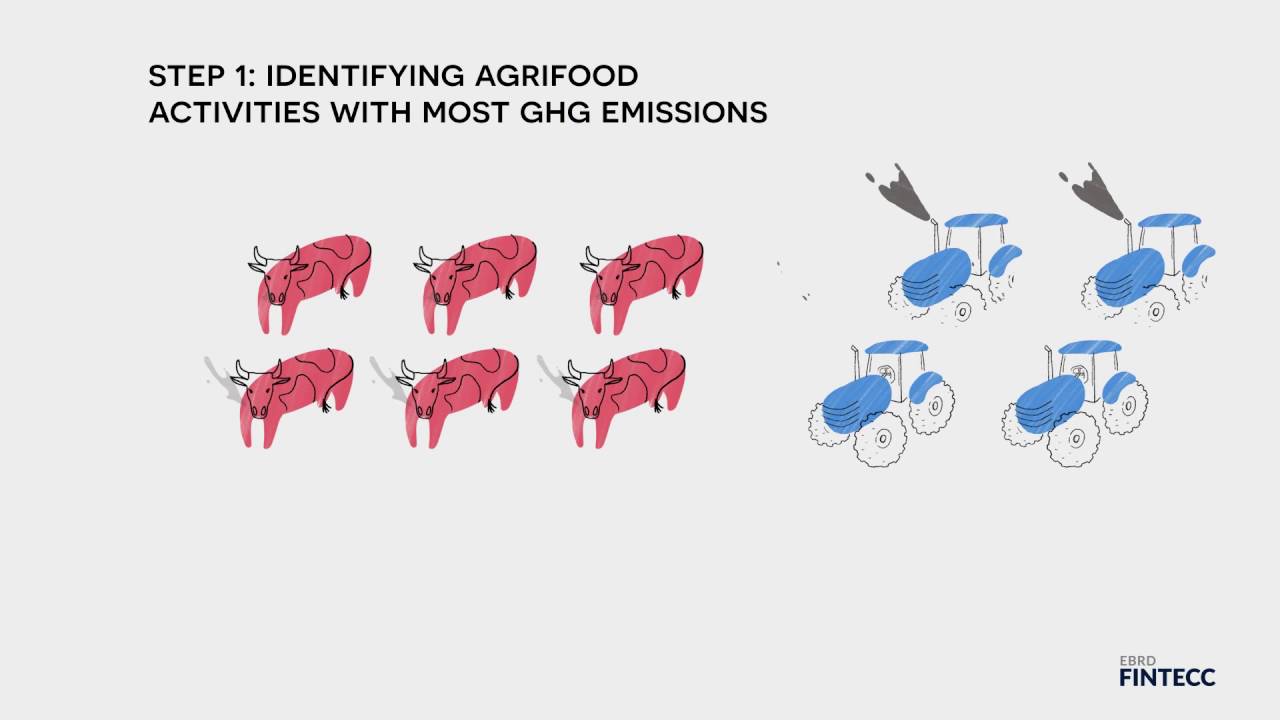 Greening the Agrifood Sector