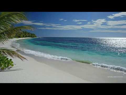 Deep Sleep 💤 Whitehaven Beach Ocean Sounds | Relax • Study • Focus | 12 Hours 4K  🌊🌴