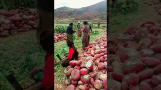 When Vegetables Do The Talking