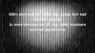 Kapten Röd - Ju mer dom spottar ( LYRICS )