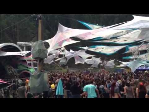 Audiofisters @ One love festival 2014