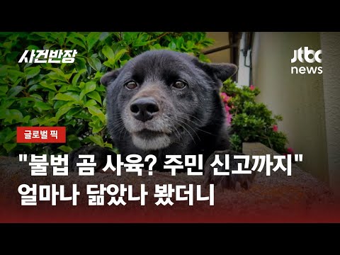 아이콘