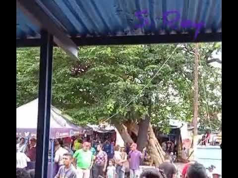 Espino 2022 - José Humberto Castillo - Borracho y Amanecio