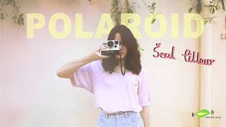 Seal Pillow - โพลารอยด์ (Polaroid) [Official Audio]
