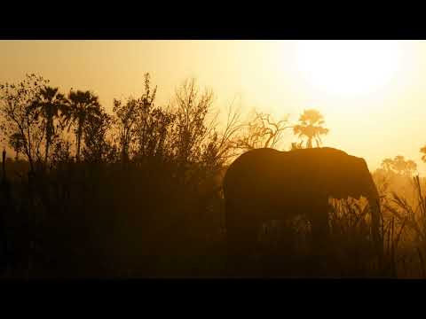 DJ Stokie ft Nkosazana Daughter, Ben Da Prince - Aw ufani Nabanye