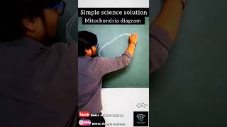 Mitochondria diagram in easy way