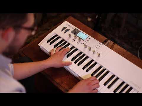 Waldorf Blofeld Keyboard - Shadow Edition image 4