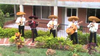 Video de Mariachi Caballo de Patas Blancas