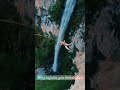 Paravayaa Parakkurom WHATSAPP STATUS Dimman Haricharan RNSCA