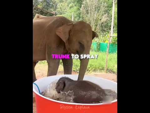 His Favorite Thing Is Water ❤️  #shorts