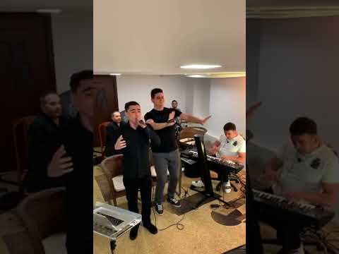 Davit Sedrakyan Norayr Stepanyan Arshak Stepanyan Vahan Zakaryan sharan 2020