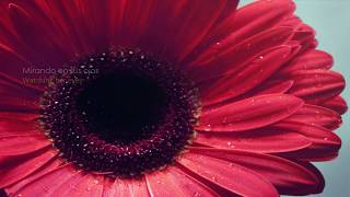 Cover Here there and everywhere- Andy Williams