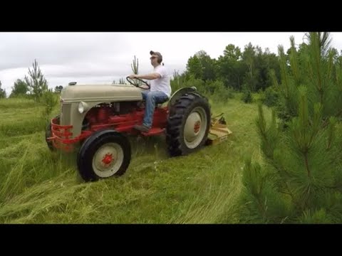 download lagu mp3 mp4 1948 Ford 8n Tractor, download lagu 1948 Ford 8n Tractor gratis, unduh video klip 1948 Ford 8n Tractor