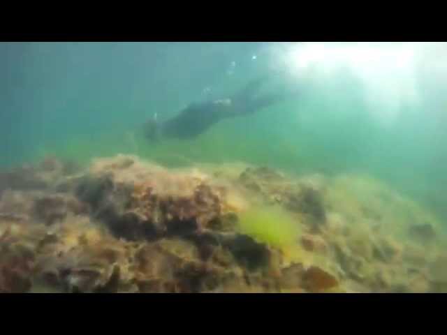 Hangstone reef dive Gothenburg -HumlanGrafik