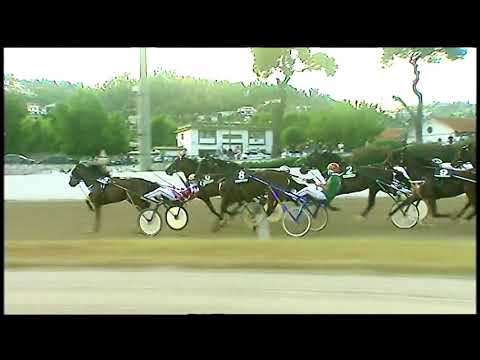 Napoli Trotto 16/07/2021 - 1ª corsa