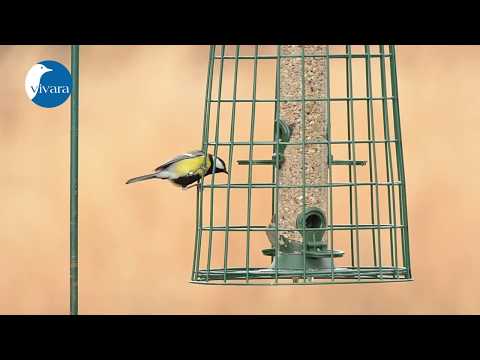 Vivara Beschermkooi Maxi en Hi-Energy Supreme