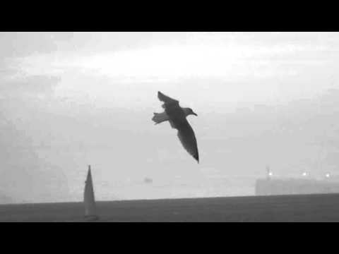 Einstürzende Heuschober - Maibritt