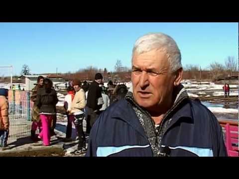 BRATU Ion (Premiul Mentor - 2011)