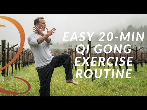 20-Min Qi Gong Exercise Routine - Easy Home Workout with Lee Holden