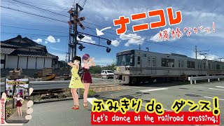 踏切動画 【踏切ダンス】警報灯が横に長～く張り出した踏切でダンス《縦動画＃19 》【変な踏切】