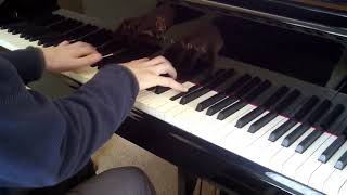 Howard Blake: &#39;Walking in the Air&#39; (version from &#39;Lifecycle&#39;) for solo piano