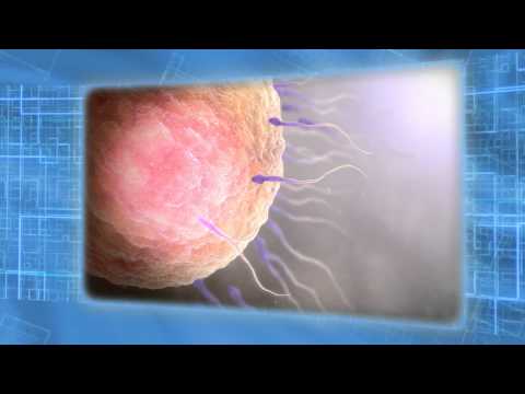 download lagu mp3 mp4 3d Medical Animation Companies, download lagu 3d Medical Animation Companies gratis, unduh video klip 3d Medical Animation Companies