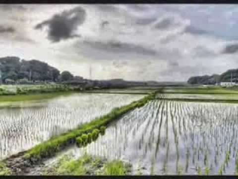 NERK PSONG PRANE Sinn Sisamouth   YouTube2