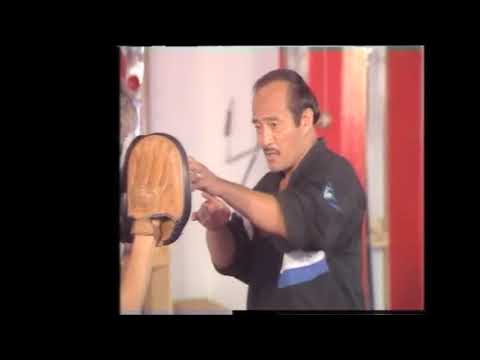 Bruce Lee JKD: Dan Inosanto Focus Pad Training