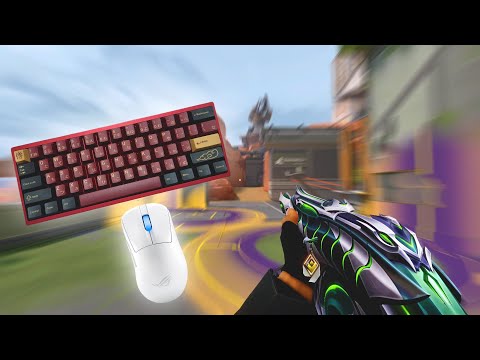 How I Got The Highest Placement Rank (New Act)