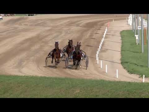 2019.06.08. 10. futam - DR. VECSEKLŐY JÓZSEF EMLÉKVERSENY - II. FUTAM