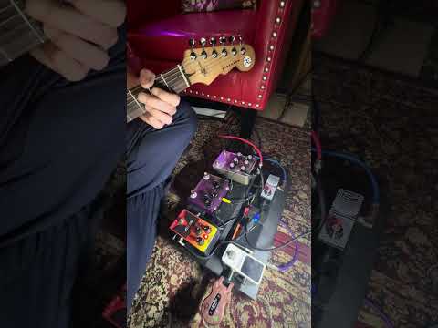 Mammoth Electronics Nuclear Winter Distortion image 7