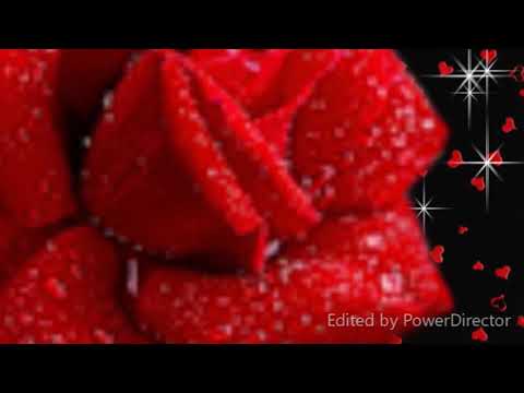 VIOLINA CVETLINA -  MAJČINA PJESMA**