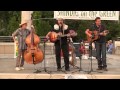 David Holt with Bryan Sutton & Jeff Hersk at Shindig on the Green