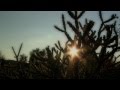 SKYLARK New album - Twilights of Sand 