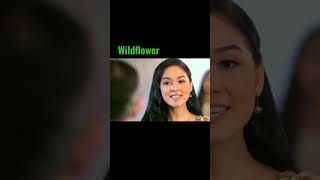 Wildflower Iconic Gold Scene ✨ Maja Slays! 🙌 #majasalvador #wildflower #ctto #shorts #teammaja