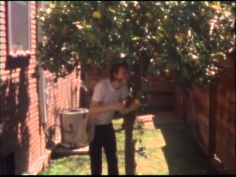 Beirut - Postcards From Italy (Official Video)