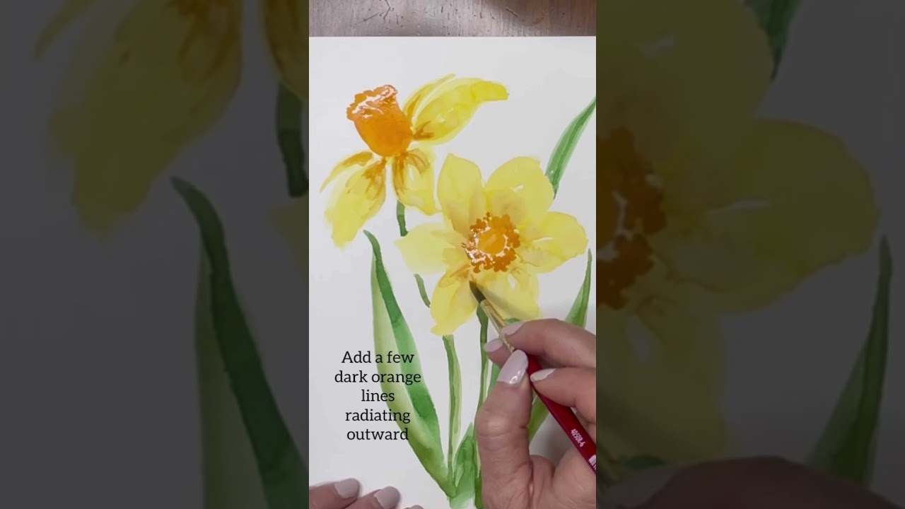 How to paint loose watercolor daffodils- Day 12- 30 days of easy watercolor flowers. #watercolor