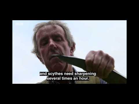 Gardener’s World 2021 - Episode 4