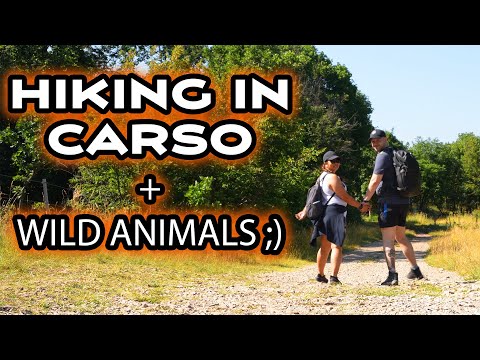 Getting Lost in the Woods? - Exploring Carso (Karst) Basovizza Hiking vlog