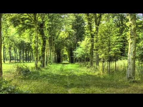 Daniil Shafran - Beethoven - Cello Sonata No 4 in C major, Op 102