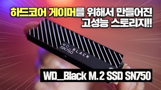 1TB 대용량과 미친속도! 하드코어 게이머를 위한 WD_BLACK M.2 SSD